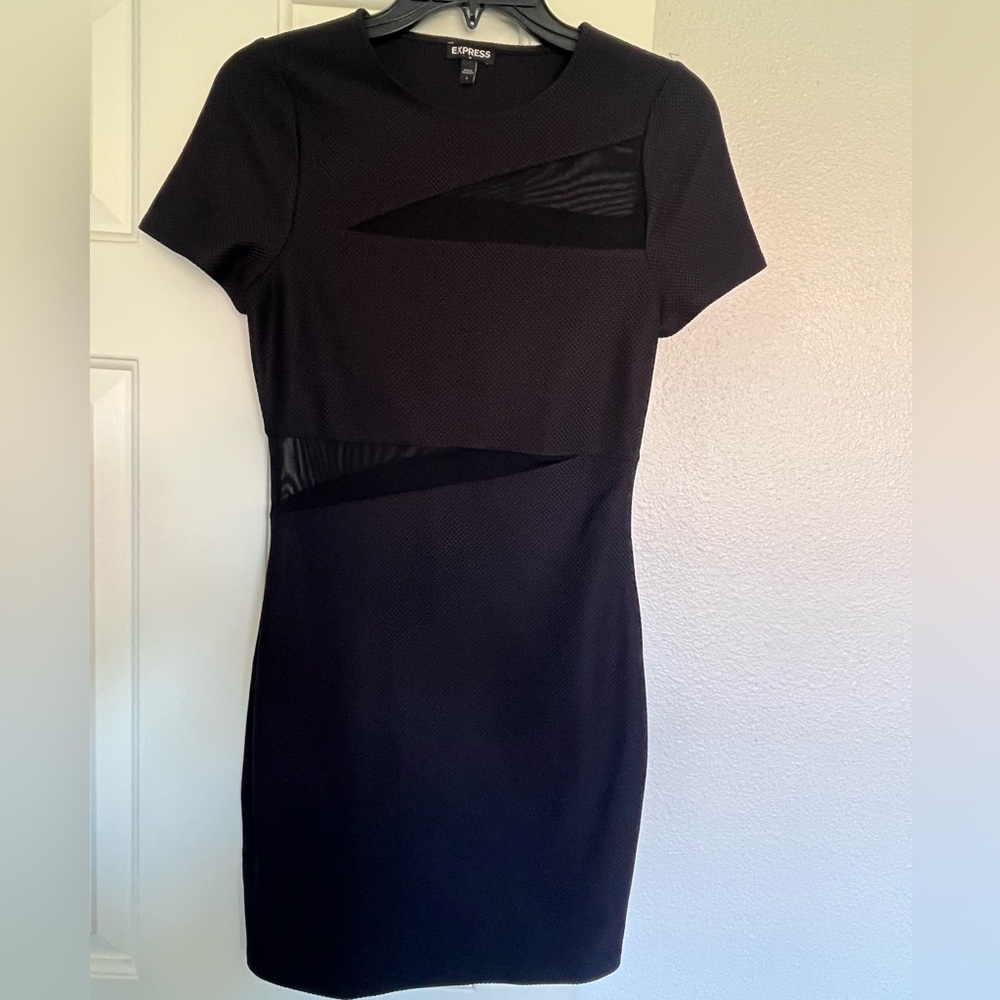 Chic Express Dress with Mesh Accents